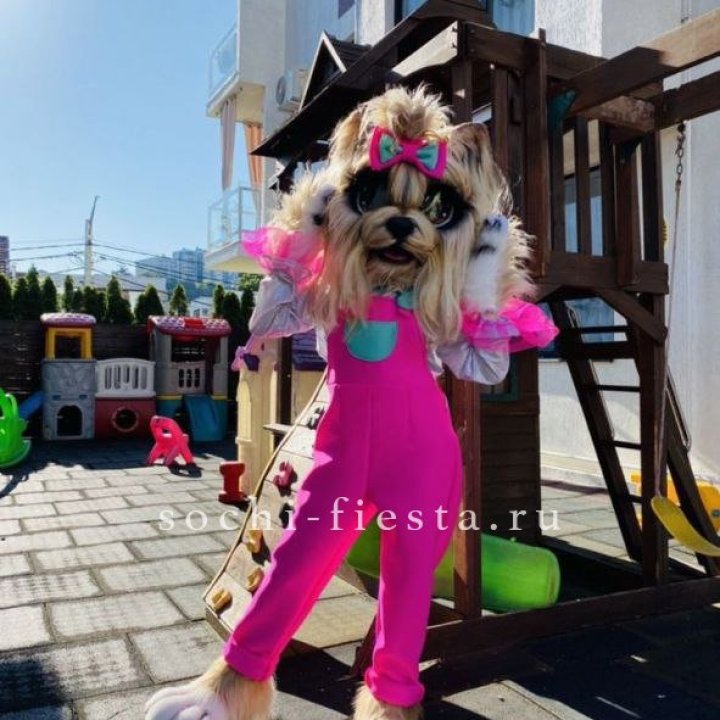 Аниматор Гламурная Собака в Армавире