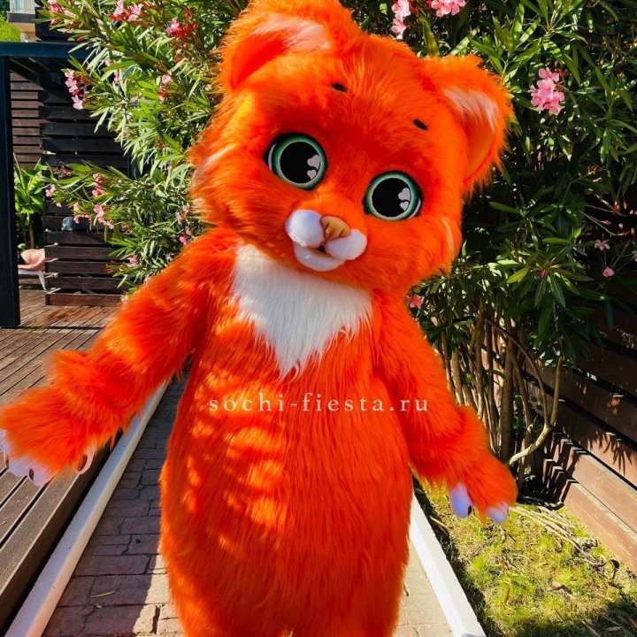 Аниматор Котик в Армавире