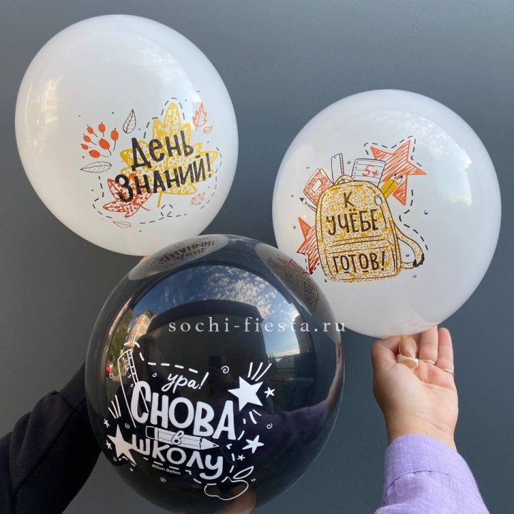Воздушный шар к 1 сентября в Армавире