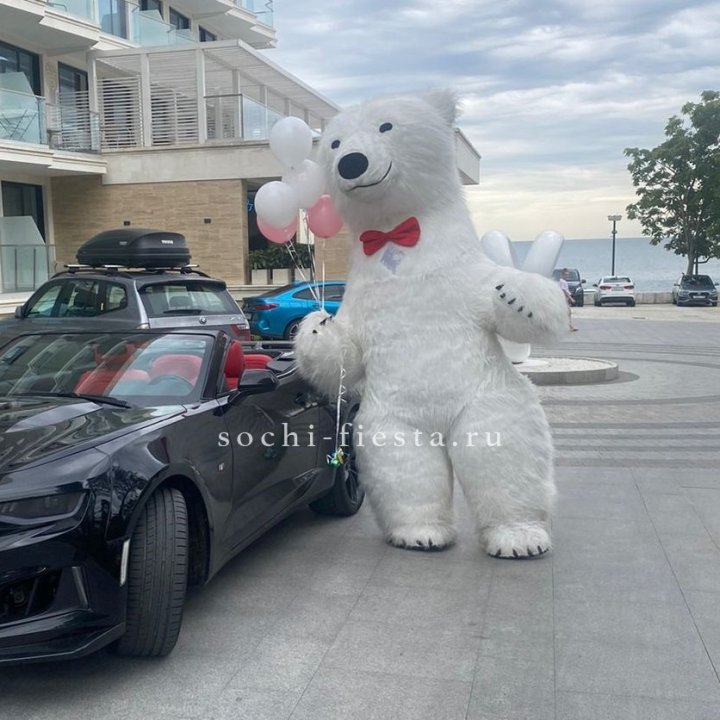 Аниматор Белый Медведь в Армавире