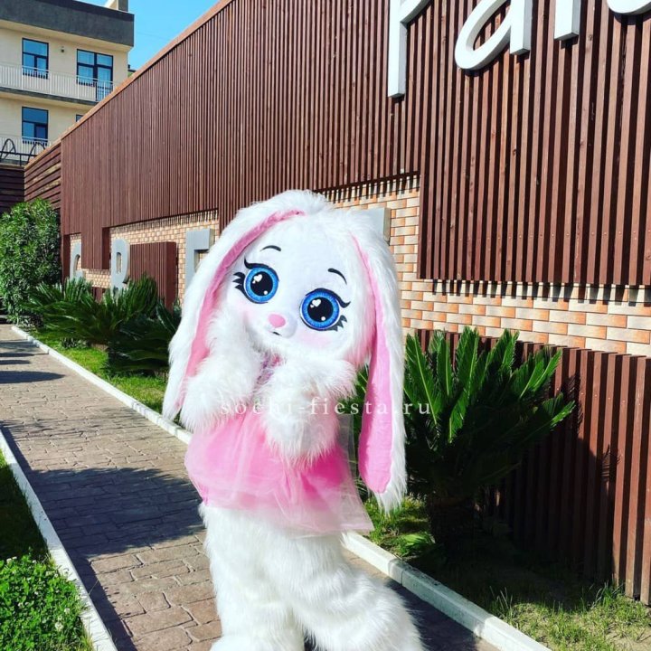 Аниматор Зайка в Армавире