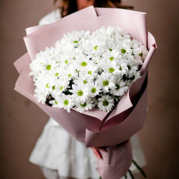 Букет хризантем №2 в Армавире