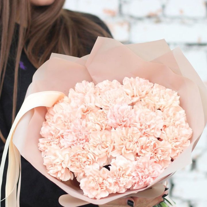 Диантусы №2 в Армавире