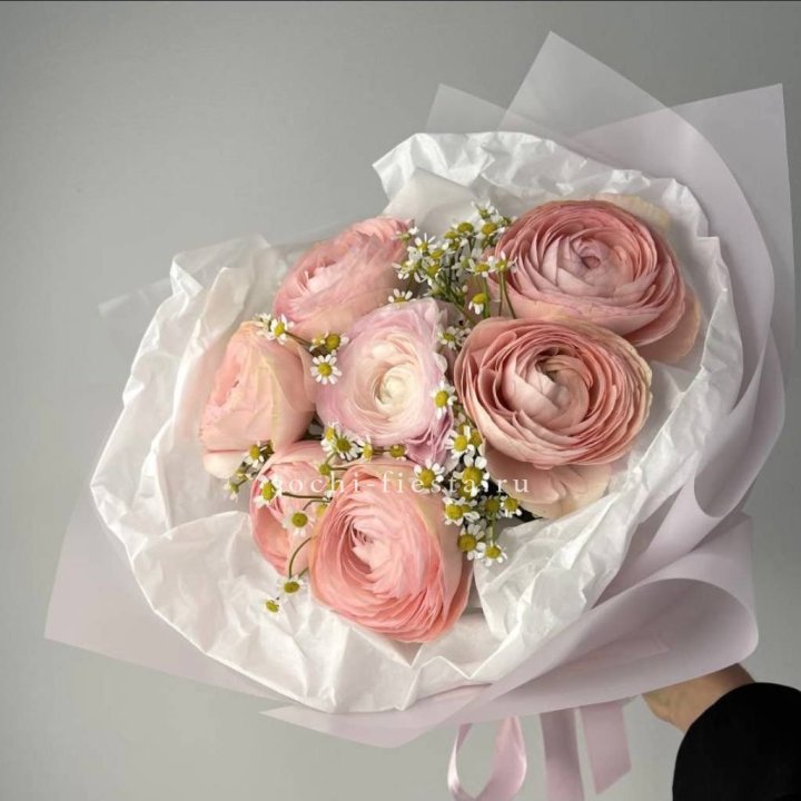 Ранункулюсы с ромашками в Армавире