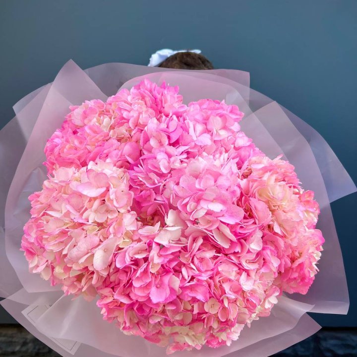 9 ярко розовых гортензий в Армавире