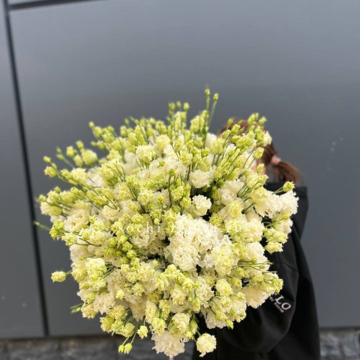 51 белая эустома в Армавире