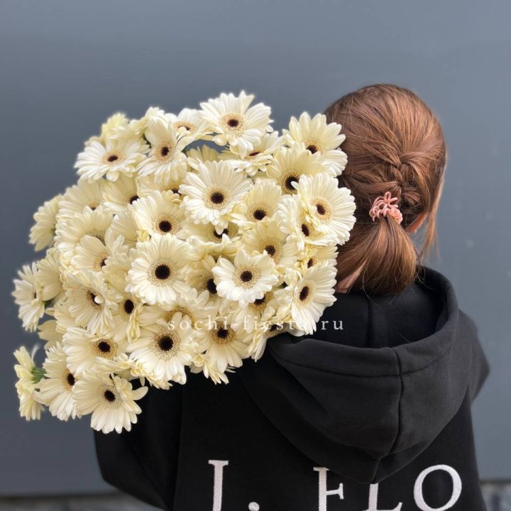 51 гербера в Армавире