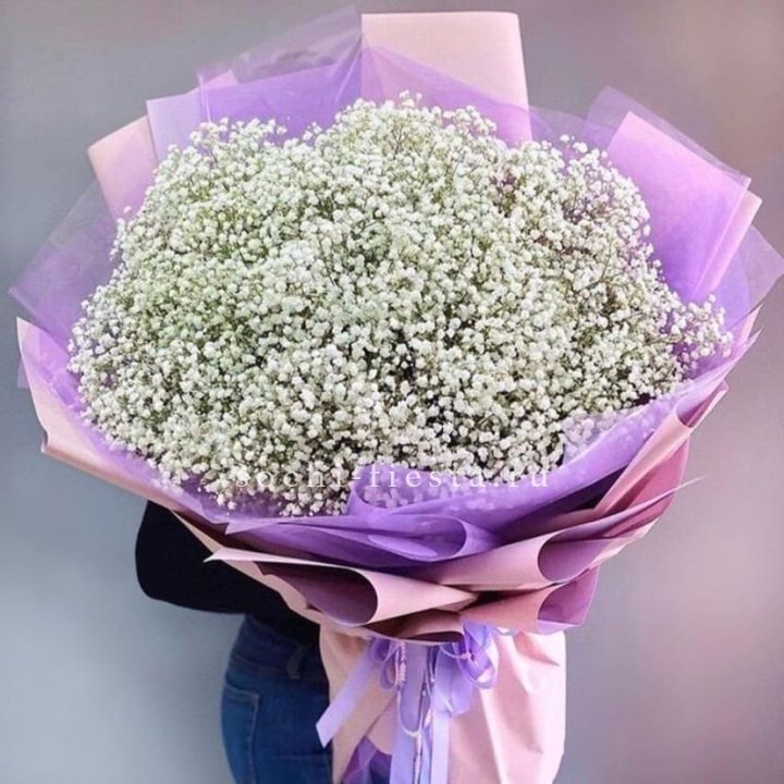 Облако белых гипсофил в Армавире