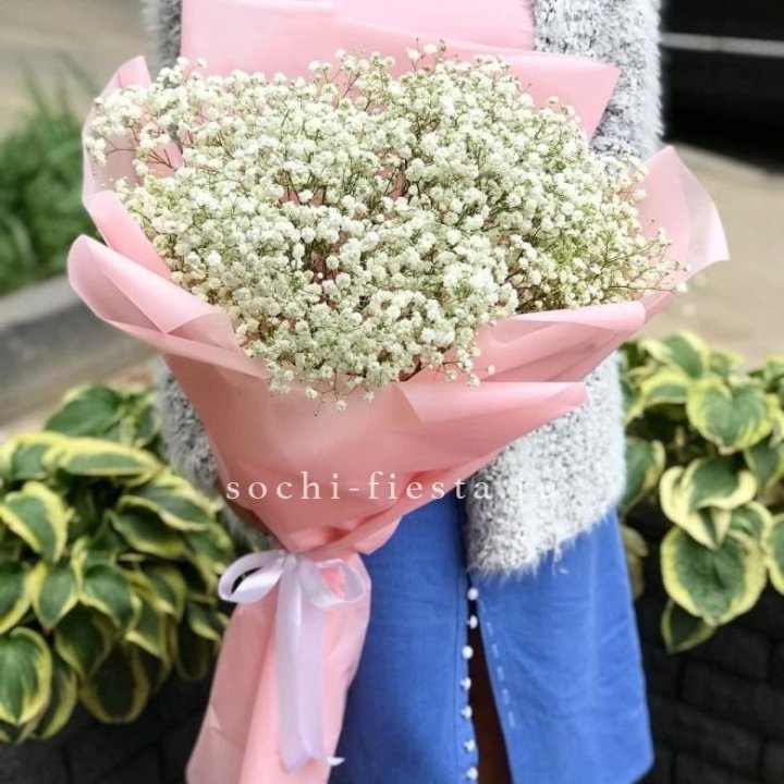 Белоснежные гипсофилы в Армавире