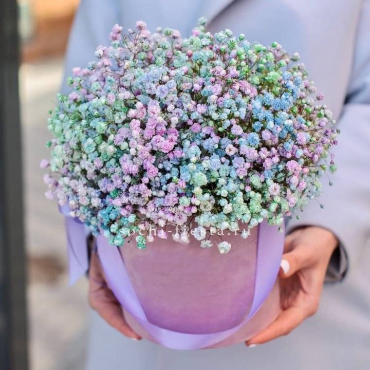 Гипсофилы в шляпной коробке "Кандилайт" в Армавире