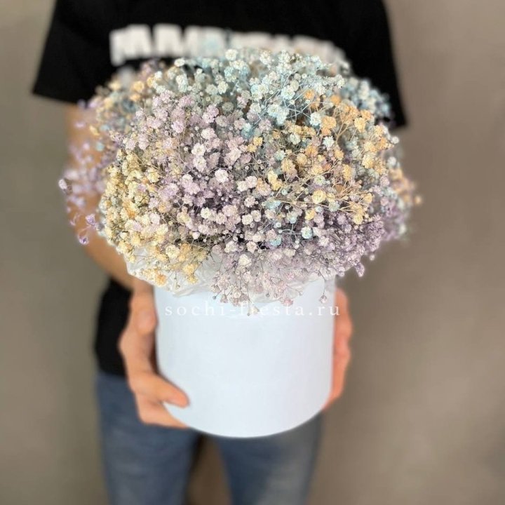 9 Радужных гипсофил в шляпной коробке в Армавире