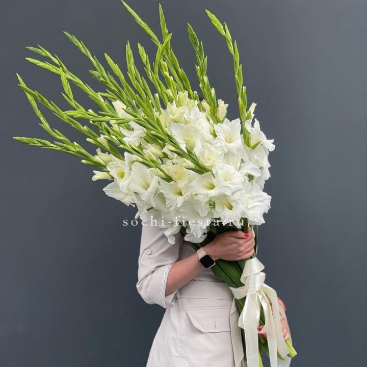 19 белых гладиолусов под ленту в Армавире