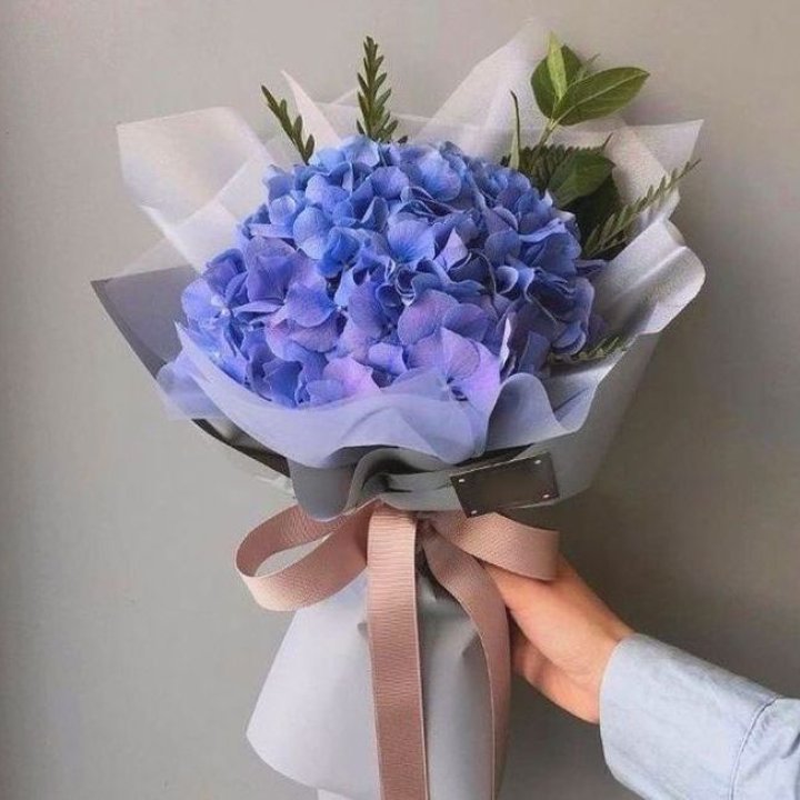 Гортензия голубая в Армавире