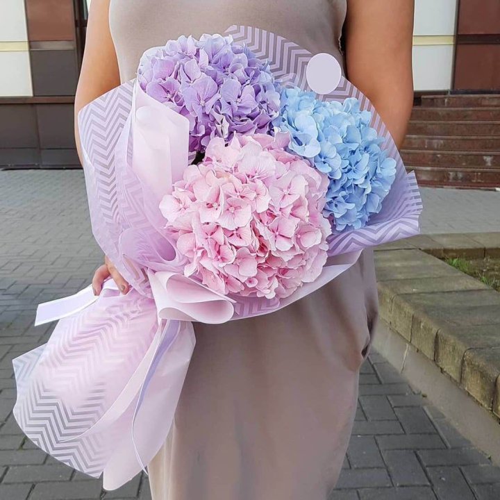 Букет гортензий "Пуф" в Армавире