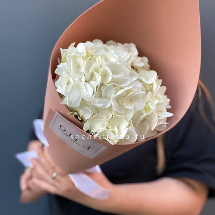Гортензия в конверте в Армавире