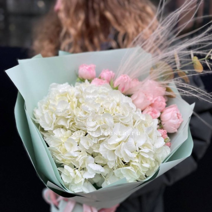 Гортензия "Жасмин" в Армавире