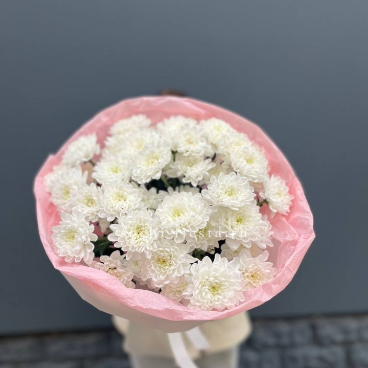  5 хризантем  в Армавире