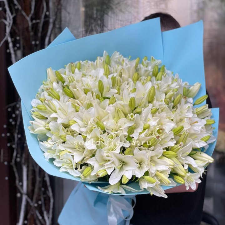 51 лилия в оформлении в Армавире