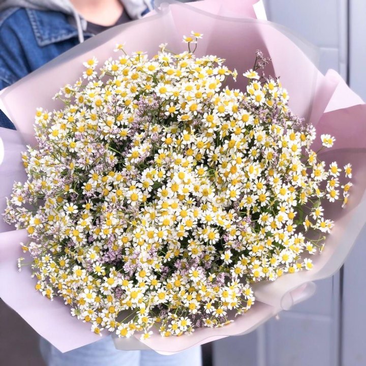 Букет ромашек №1 в Армавире