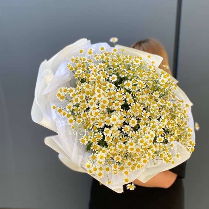 Букет ромашек "Фемели" в Армавире