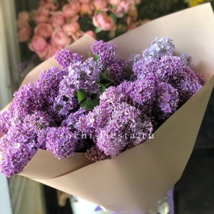 Букет сирени №2 в Армавире