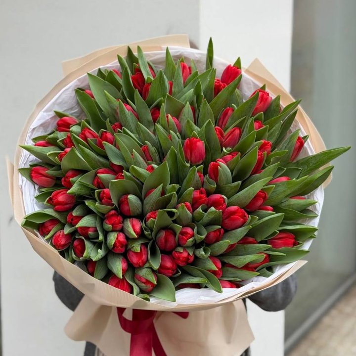 101 красный тюльпан в Армавире