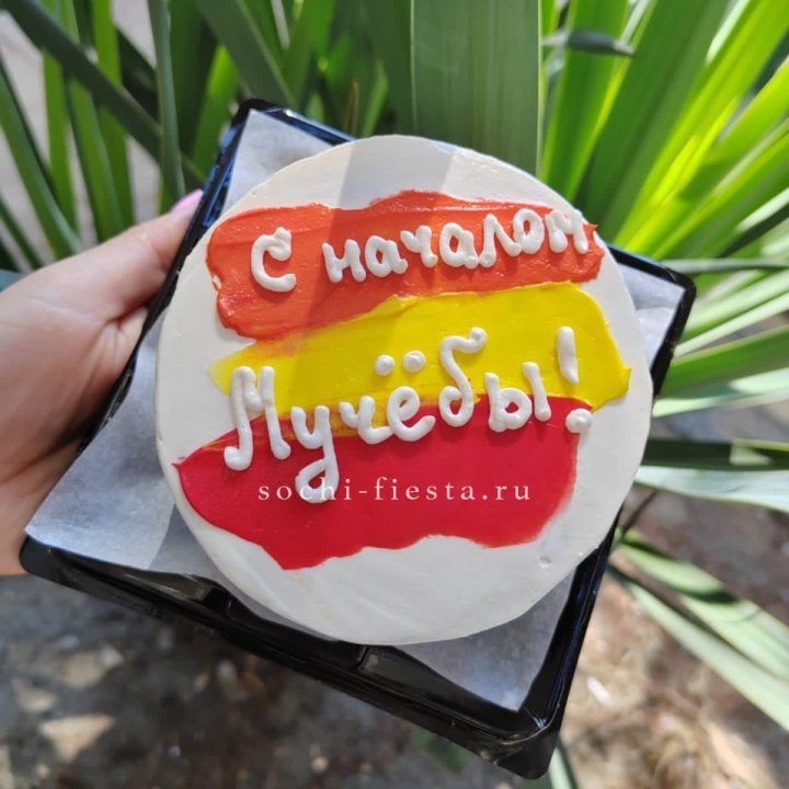 Бенто-торт "С началом учёбы"" в Армавире