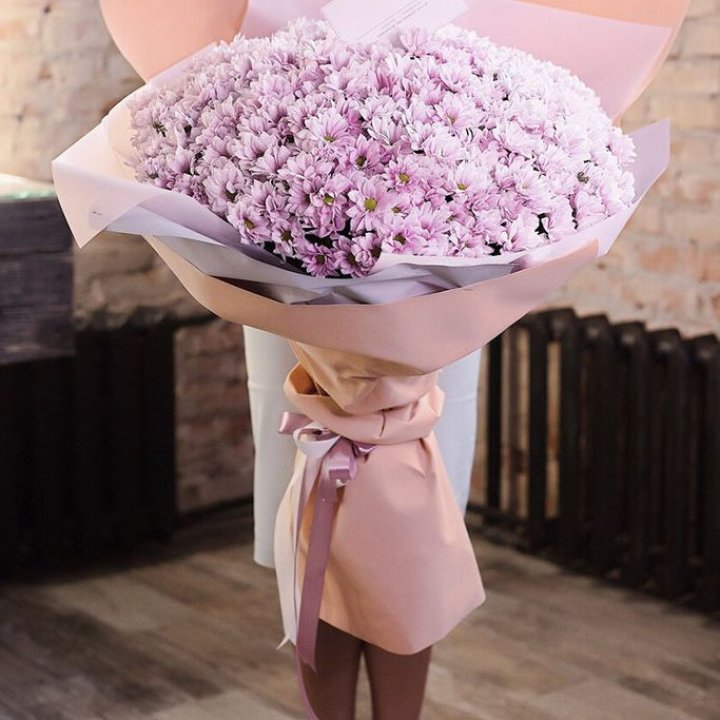 Облако хризантем №1 в Армавире