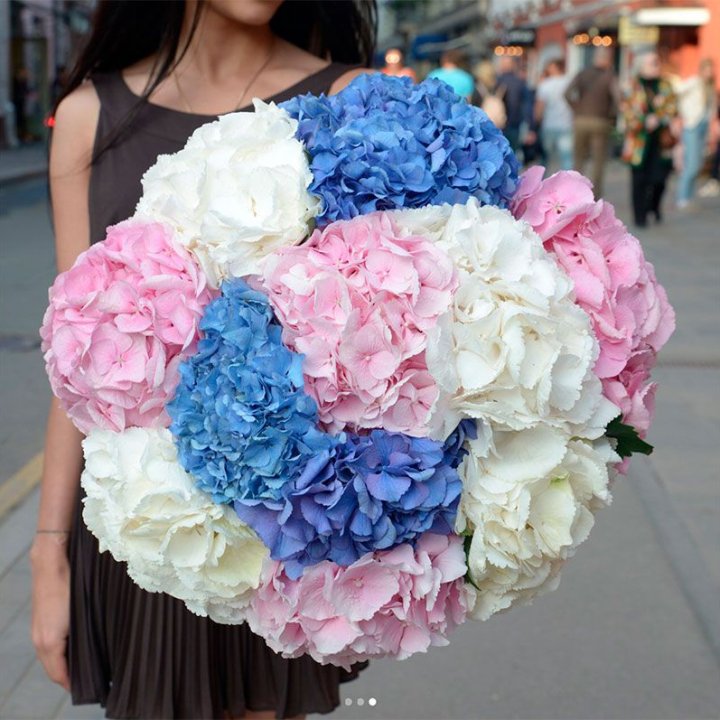 Букет гортензий "Инь-Янь" в Армавире