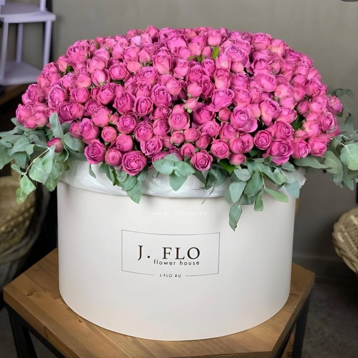 Цилиндр с Мисти Бабблс  в Армавире