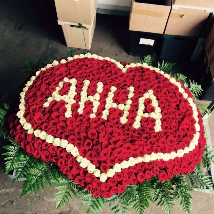 555 роз с именем в Армавире