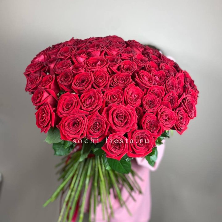 101  голландская роза  в Армавире