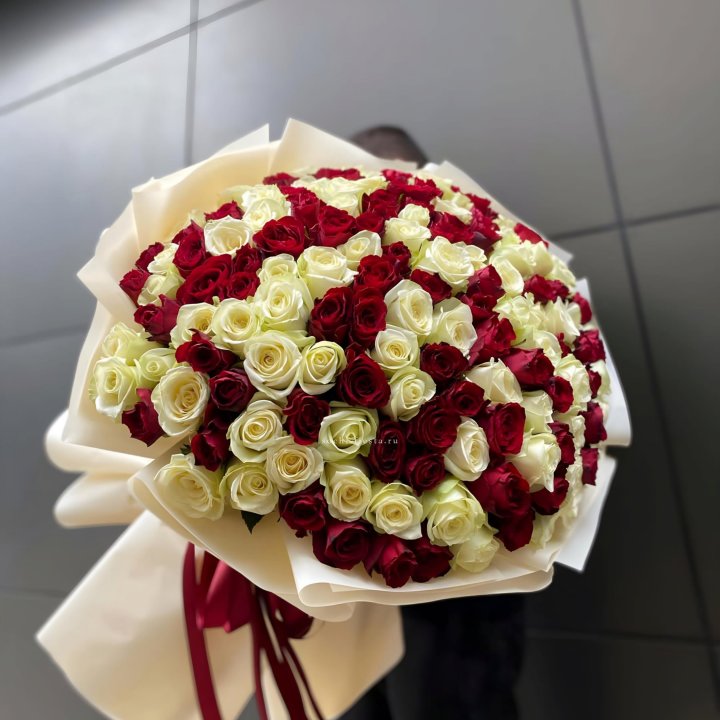 101 высокая импортная роза  в Армавире