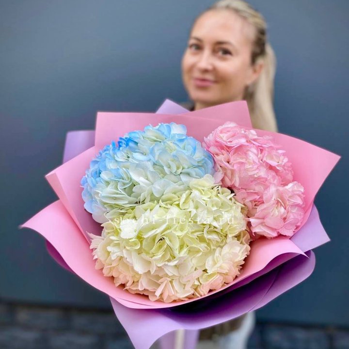 Букет гортензий "Тоника" в Армавире