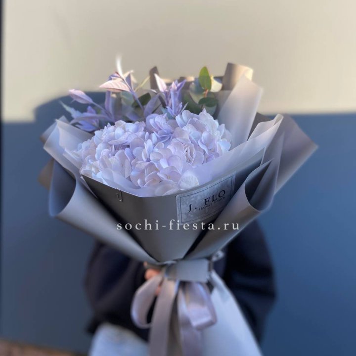 Гортензия "Виолета" в Армавире