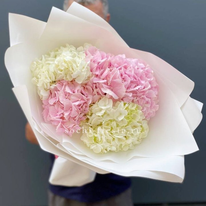 Букет гортензий №5 в Армавире