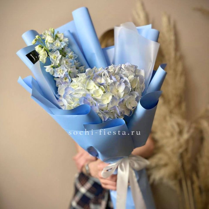 Гортензия "Блю скай" в Армавире
