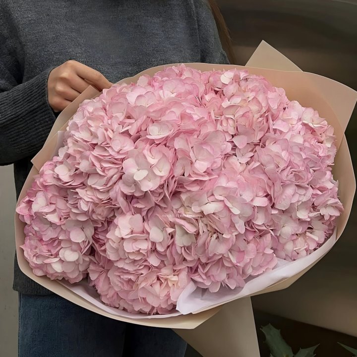 Гортензия  "РОЗЕ" в Армавире