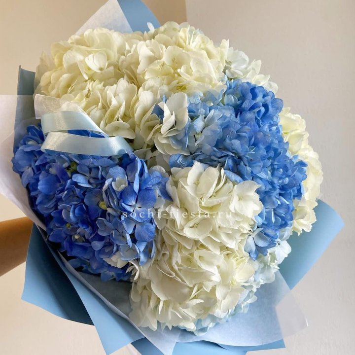 Букет гортензий "Голубая лаза" в Армавире