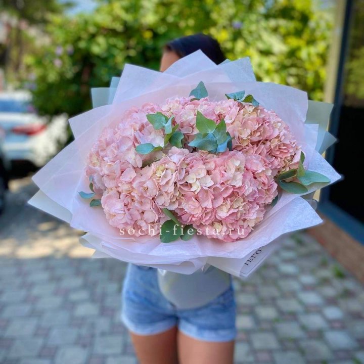 5 розовых гортензий  в Армавире