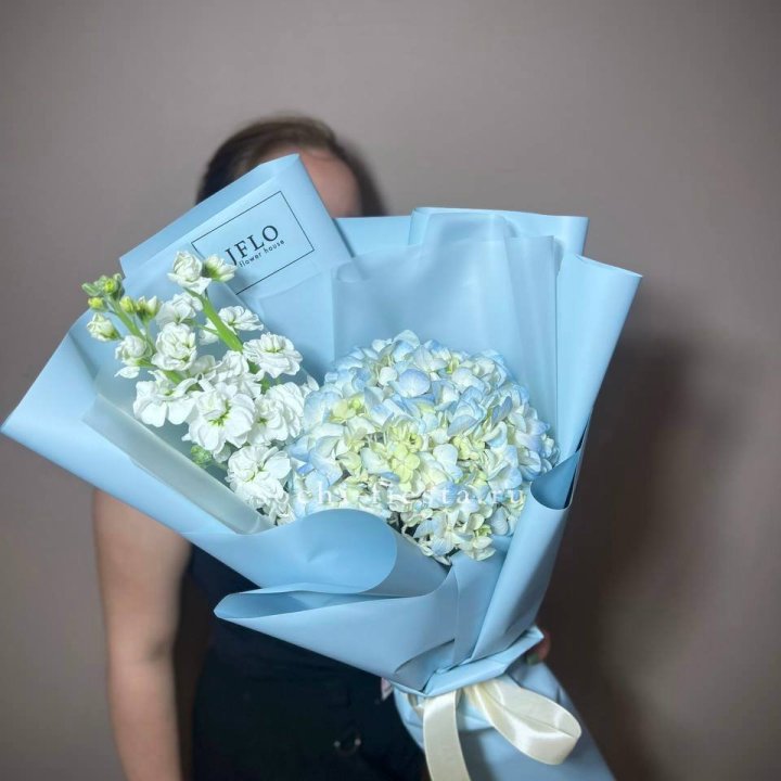 Гортензия голубая с маттиолой в Армавире