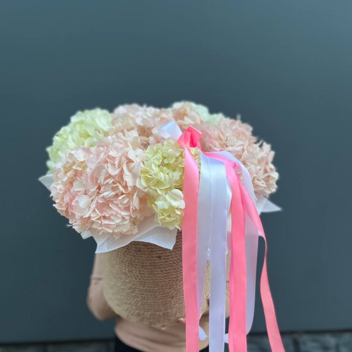 7 гортензий в кашпо в Армавире