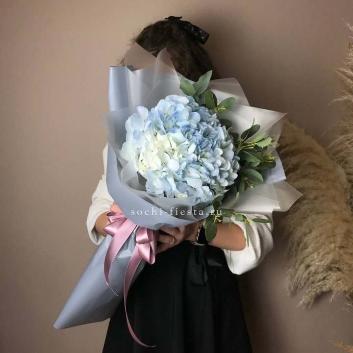 Гортензия Уно в Армавире