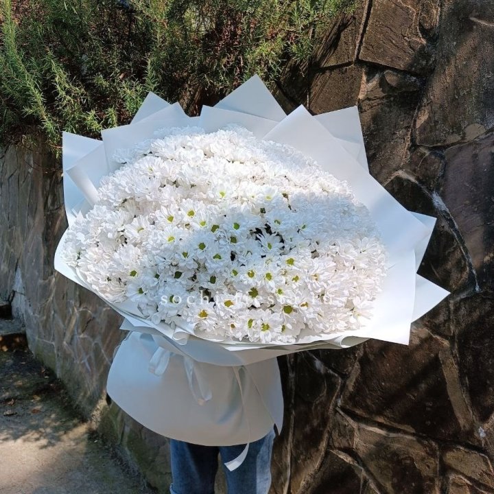 Облако хризантем №2 в Армавире