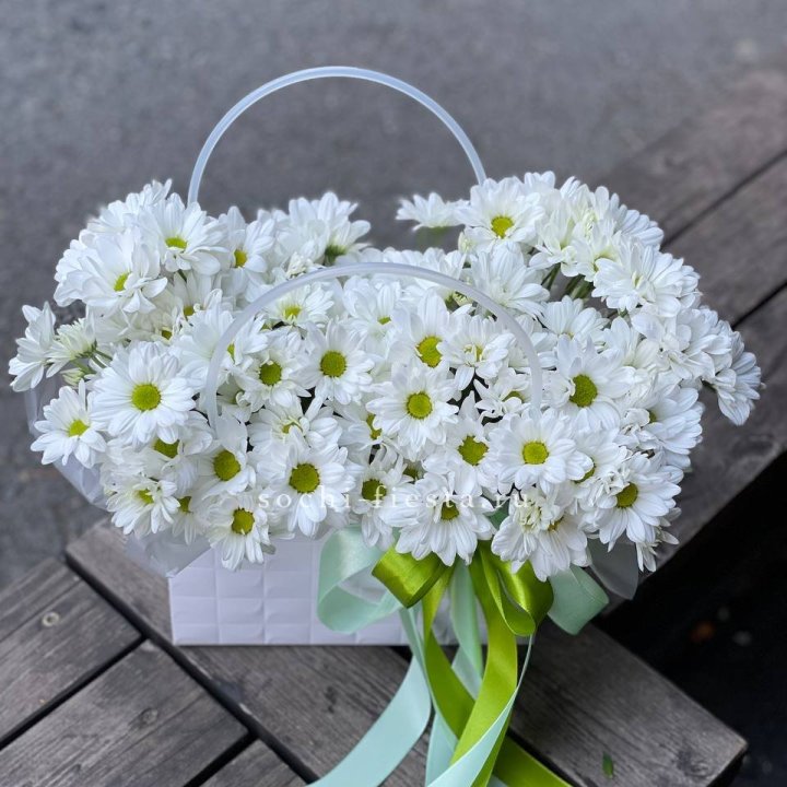 Сумка с хризантемами ромашками в Армавире