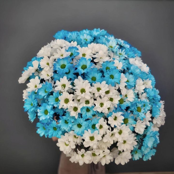  Букет хризантем микс в Армавире