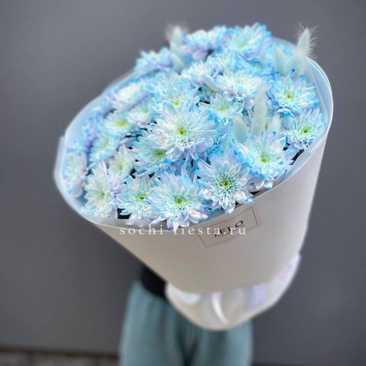  Букет нежно-голубых хризантем  в Армавире