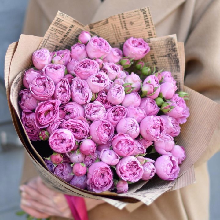 Роза Мисти Баблс в Армавире