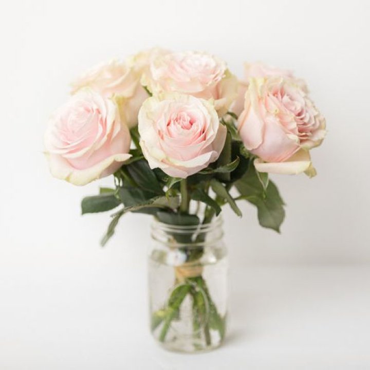 7 кремовых роз в Армавире