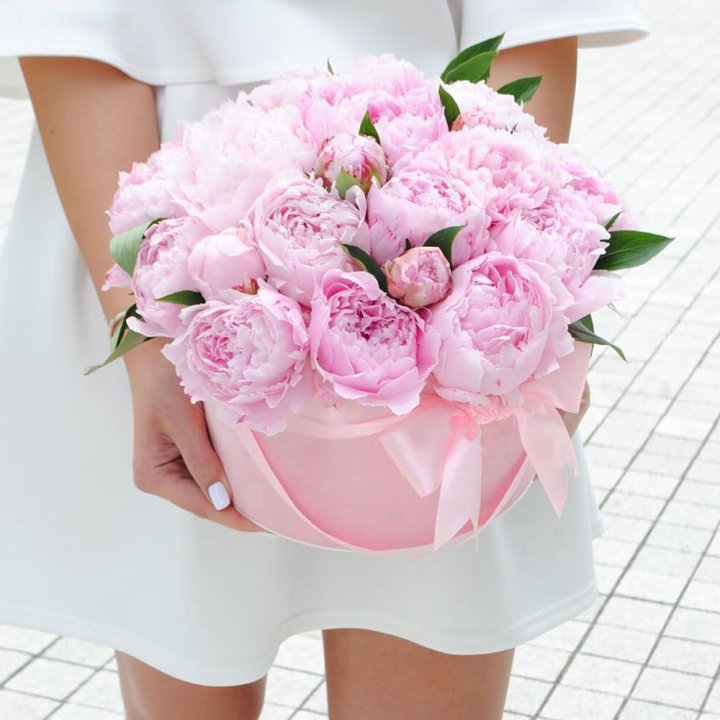 Пионы в шляпной коробке в Армавире